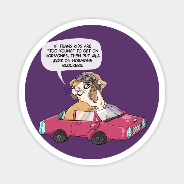 World Champion race car driver Hamster Magnet by sophielabelle